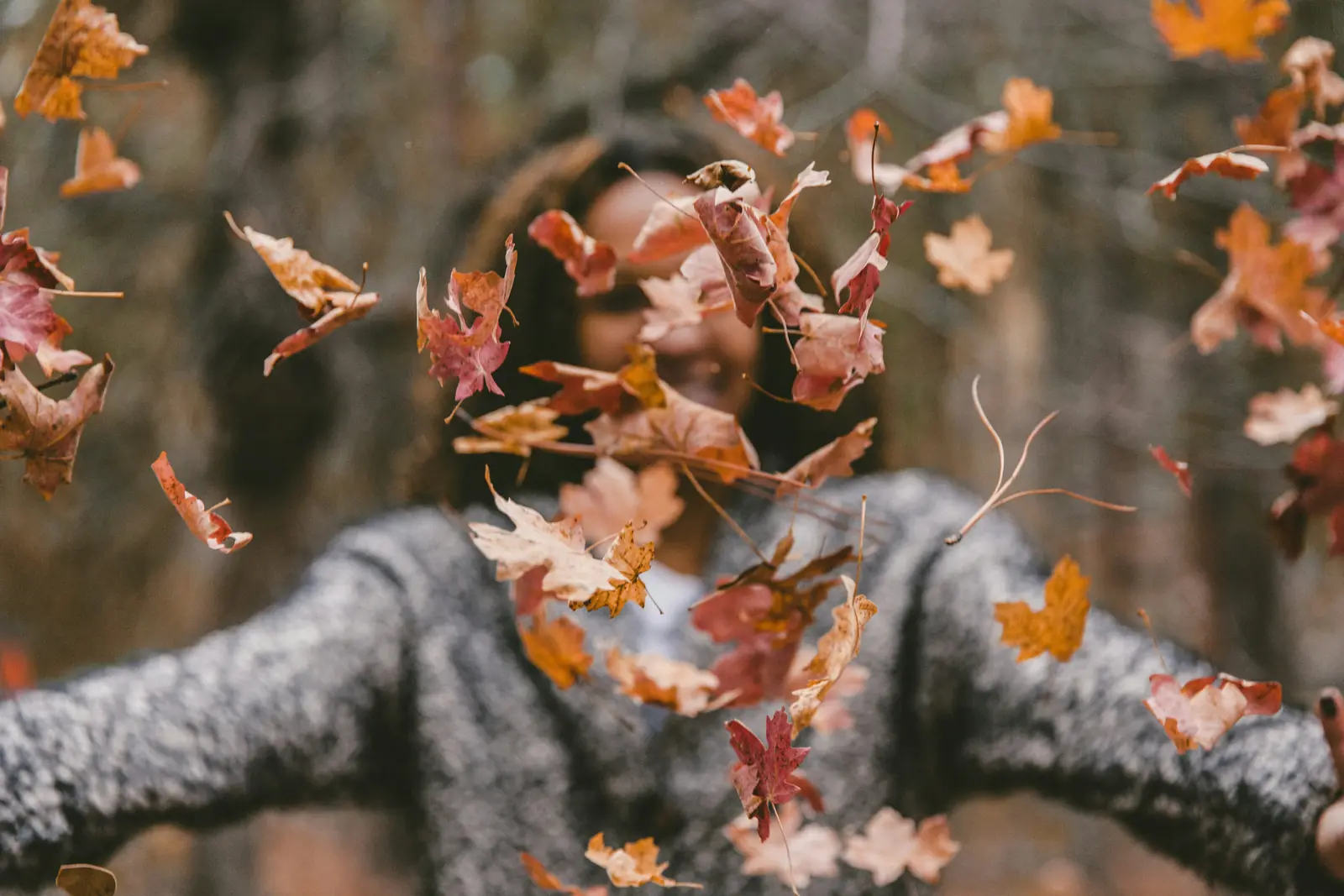 Autumn leaves tossed in the air